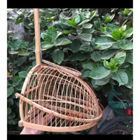 Lồng bẫy trúc dành cho chim chào mào