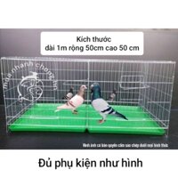 Lồng bồ câu gà động vật gia cầm giá rẻ