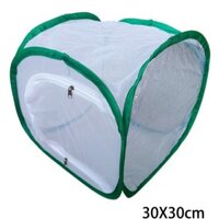 Lồng Bướm Trung Bình Có Thể Gập Lại Thú Cưng Chăn Nuôi Hộp Lưới Chống Côn Trùng Cây Ấm Phòng Bò Sát pvc Lồng