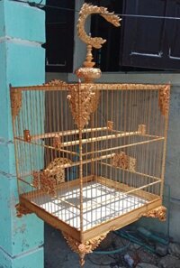 Lồng Chào Mào Huế Chạm Tay Đẹp