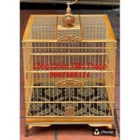 lồng chào mào tre già kic mịn