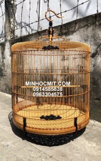 Lồng Chích Chòe Lửa 96 chạm Mai thủng viền Trúc độ Mun VIP