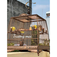 Lồng chim chào mào đẹp, khung lồng tự ráp gỗ mun đuôi công lá đề viền mặt hổ phù chân quỳ