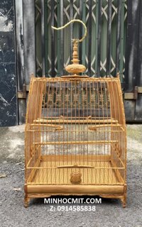 Lồng chim Chào Mào THÁI cao Tre già chạm tay DÂY LEO nét cực đẹp