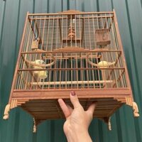 Lồng chim chào mào tự ráp Khung lồng chào mào trúc, tre già xử lý rộng 37cm cột thẳng nóc chữ H kèm móc nậm gỗ bền đẹpv