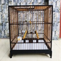 lông chim chào mào vuông cao, chất liệu gỗ mun, size 37 23 nan