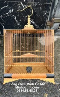 Lồng chim Chào Mào Vuông ĐẤU độ Bi MUN Sừng ĐỘC Lạ