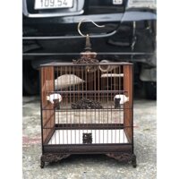 Lồng chim chào mào Vuông Đấu Trụ Vuông đục Rồng CNC (lồng sẵn) gỗ mun đuôi công kèm đủ phụ kiện LC04