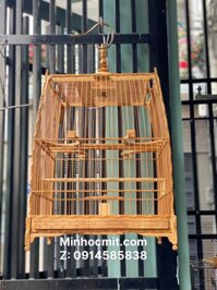 Lồng chim Chào Mào Vuông Thái chạm tay DÂY LEO tang GẠCH nét đẹp