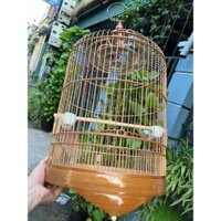 Lồng chim chích choè ráp sẵn chất liệu trúc cật già xử lí đủ size(miễn phí ship) tặng kèm rọ dế
