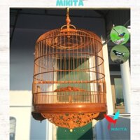 Lồng chim Chòe Lồng chim Chòe , Chòe than Mikita đục trúc già đẹp