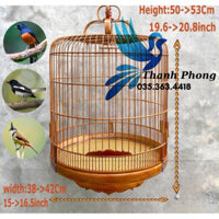 Lồng chim Chòe Than, Chích Chòe, Chòe Lửa, Chào Mào, Lồng Chòe Lửa - Chòe Than - Chào Mào đẹp LỒNG CHIM THANH PHONG