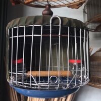 lồng chim cu 32