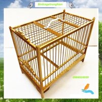 Lồng chim khuyên đặt bàn, Lồng khuyên giá rẻ đặt bàn BirdcageTrunghien