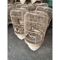 lông chim khuyên đầy đủ phụ kiện