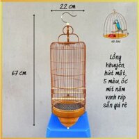 Lồng chim khuyên, lồng chim hút mật 5 vanh hàng ráp sẵn giá rẻ