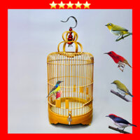 Lồng Chim Vành Khuyên, Hút Mật, Ốc Mít, Sâu Tre Già 3 Vanh