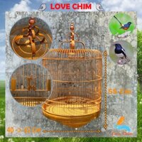 Lồng Chòe Lửa, Lồng chim Chòe Than - Chích Chòe đẹp (warbler cage) LOVECHIM