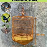 Lồng Chòe Lửa, Lồng chim Chòe Than - Chích Chòe đẹp (warbler cage) Birdcages