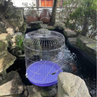 lồng choẻ lửa T42 lùn⚡️⚡️⚡️🦜lồng khướu nhì⚡️⚡️🕊️lồng hoạ mi🦜lồng sáo🦜 kt42x53 chất liệu inox🕊️hàng cty chính hãng⚡️⚡️
