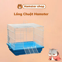 Lồng chuột Hamster