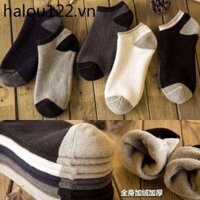 Lông Cừu Lót Tất Nam Mùa Đông Ngắn Dày Nguyên Chất Cotton Terry Tất Cotton Thấp Thu Đông Thuyền Tất Nông Miệng Khử Mùi Hút Mồ Hôi