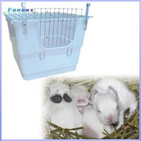 Lồng dễ dàng làm sạch cho Sóc Chinchilla