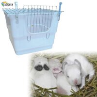 Lồng dễ dàng làm sạch cho Sóc Chinchilla