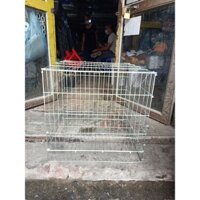 Lồng đơn gọn nhẹ, di chuyển dễ dàng, lồng nuôi bồ câu, gà, thỏ ,nuôi chó mèo 50x50cm