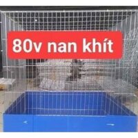 long ga 80v nan khít