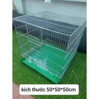 lồng gà chim chó mèo giá gốc