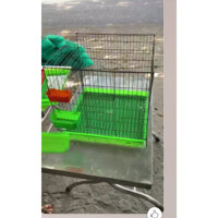 Lồng gà con 6 tấc + khay gà 6 tấc