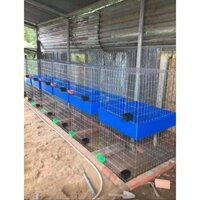 Lồng ghép vuông và khay nhựa 80x80cm