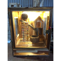 lồng gỗ sóc bay úc