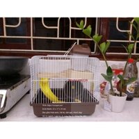 Lồng hamster 2 tầng cỡ trung (bear, ww, camp, robo)