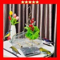 Lồng Inox Bẫy Chim Sâu, Khuyên, Hút Mật, Huýt Cô, Tiêu Mi, Ốc Mít