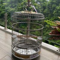 Lồng inox Trung Quốc Lồng chích chòe họa mi cao cấp cỡ 38 40 42 45 đủ phụ kiện tặng kèm áo lồng
