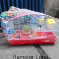 Lồng khủng long cho hamster ” siêu đại”