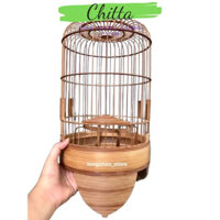 Lồng khuyên chân đục dừa chỉ xử lý chất liệu trúc đáy dán decal hàng cao cấp chim khuyên