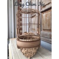 Lồng Khuyên Đục Máy Các Tích - Lồng Chim Vác