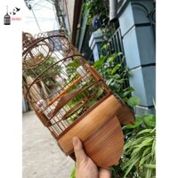 Lồng khuyên dũi chỉ dừa trúc già tang béo đẹp nét - lồng chim gia hân