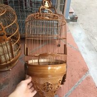 Lồng khuyên hạt gạo