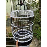 lồng khuyên nhựa tàu