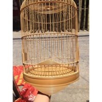 lồng khuyên phóng tàu dừa kỹ