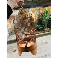 lồng khuyên tre già