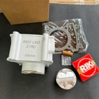 Lòng Kiếng Redleo Exciter 62-65mm X Pro