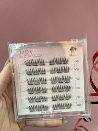 LÔNG MI CỤM CÓ SẴN KEO JARY PRO CLUSTER LASHES HỘP NHỰA 6 HÀNG - P4 IDOL - KHÔNG VỎ