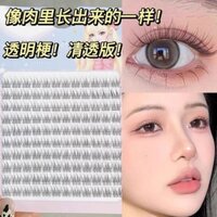 Lông mi đuôi cá đơn cụm 120 cụm, thân mềm trong suốt, ghép khí, đồ trang điểm màu nude