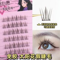 Lông Mi Giả Bằng Vải Không Dệt Tự Nhiên Hình Hoa Hướng Dương