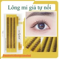 Lông mi giả chùm đuôi cá Nesura Hàn Quốc, mi giả tự nối dạng chùm Duoica/12D/0.07/C, độ dày 0.07, độ dài 9-12mm